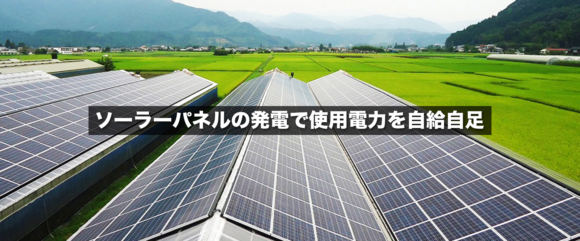 ソーラーパネルの発電で 使用電力を自給自足